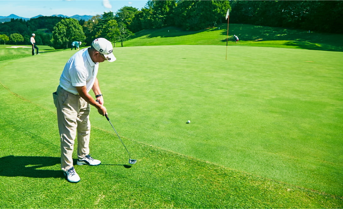 ベント・ワングリーン